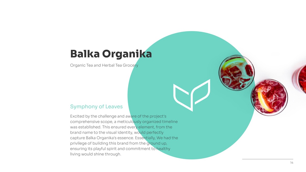 Visual Identity Design Proposal by accio 15